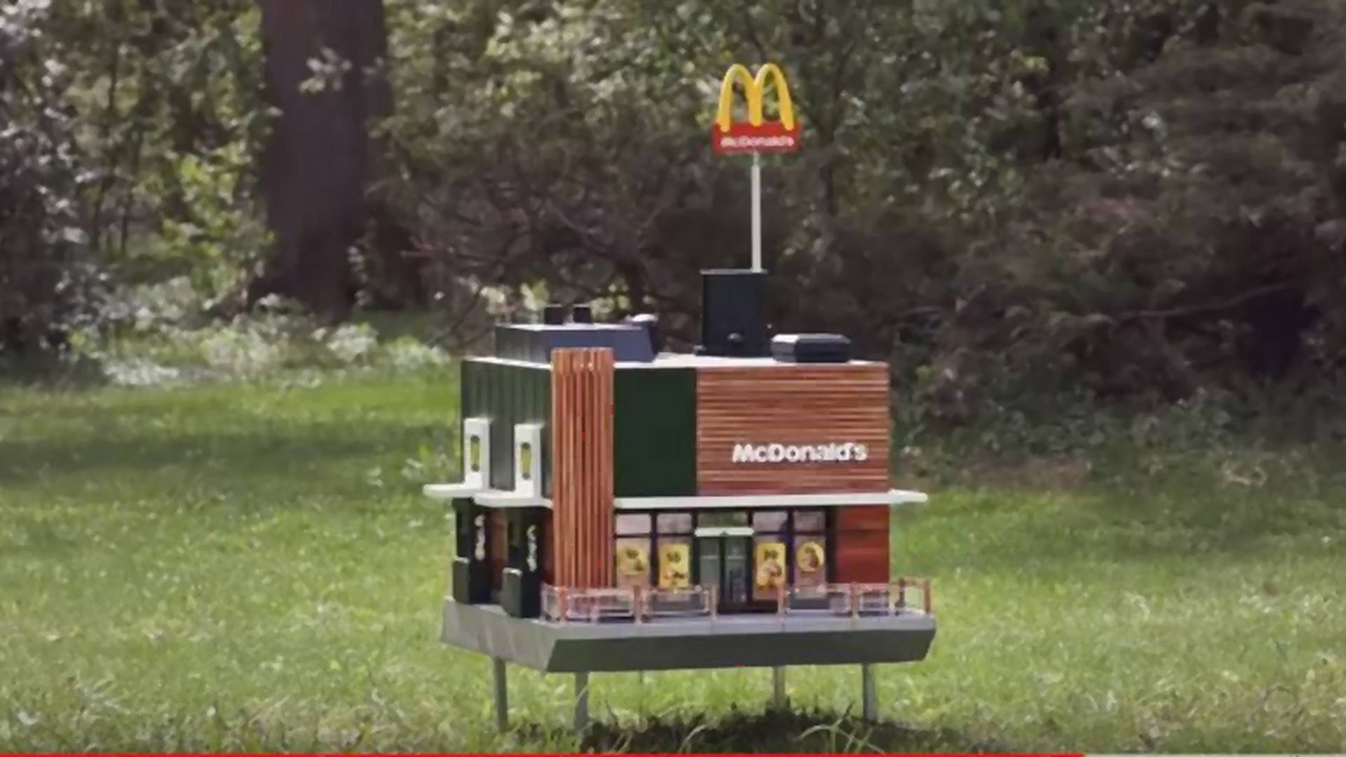 Otwarto najmniejszy McDonald's na świecie. Jego gośćmi są pszczoły