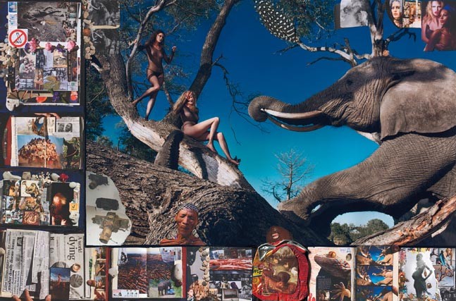 Prosto z premiery - kalendarz Pirelli 2009