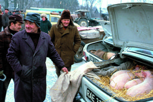 Bazar w Grójcu, stan wojenny, 1982 r.