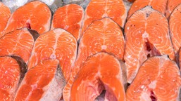 jakiego łososia kupować? który łosoś jest najzdrowszy – dziki czy hodowlany? różnica może cię zaskoczyć łosoś pacyficzny atlantycki norweski