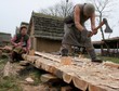 WOLIN SKANSEN ŻYCIE CODZIENNE SŁOWIANIE