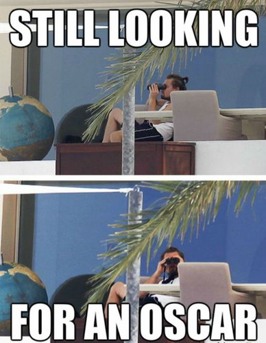 Leonardo DiCaprio - mem