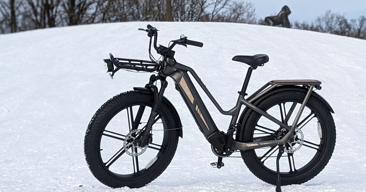 E-bike Fiido Titan dans le test : Fat bike avec un équipement complet pour la ville et le tout-terrain