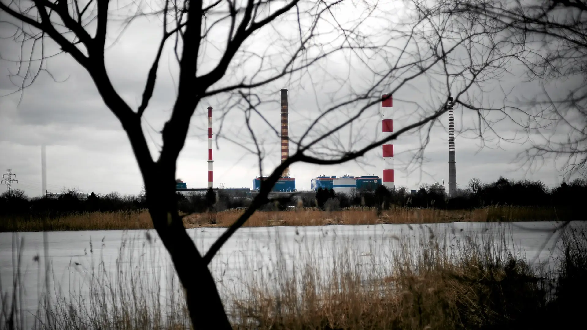 Walizkę z ciałem pokazano w telewizji. Brutalna sprawa z czasów PRL