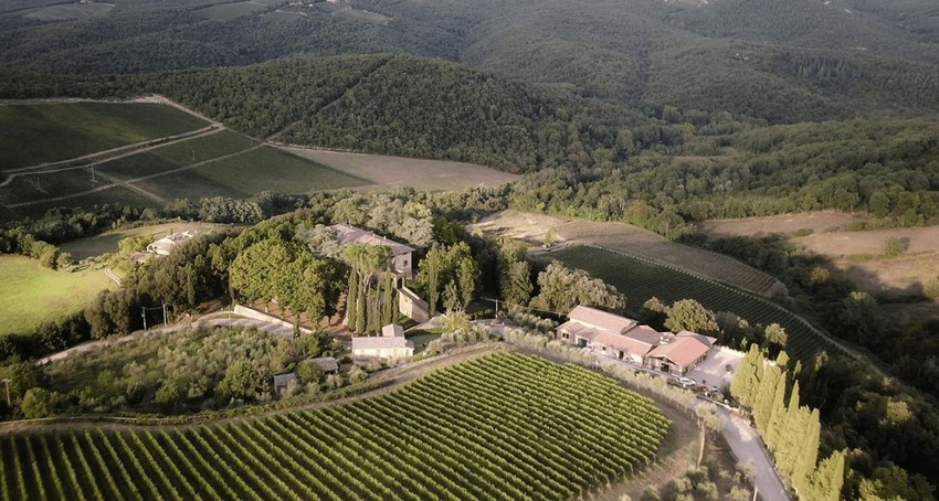 Jedan od vinograda Dmitrija Medvedeva