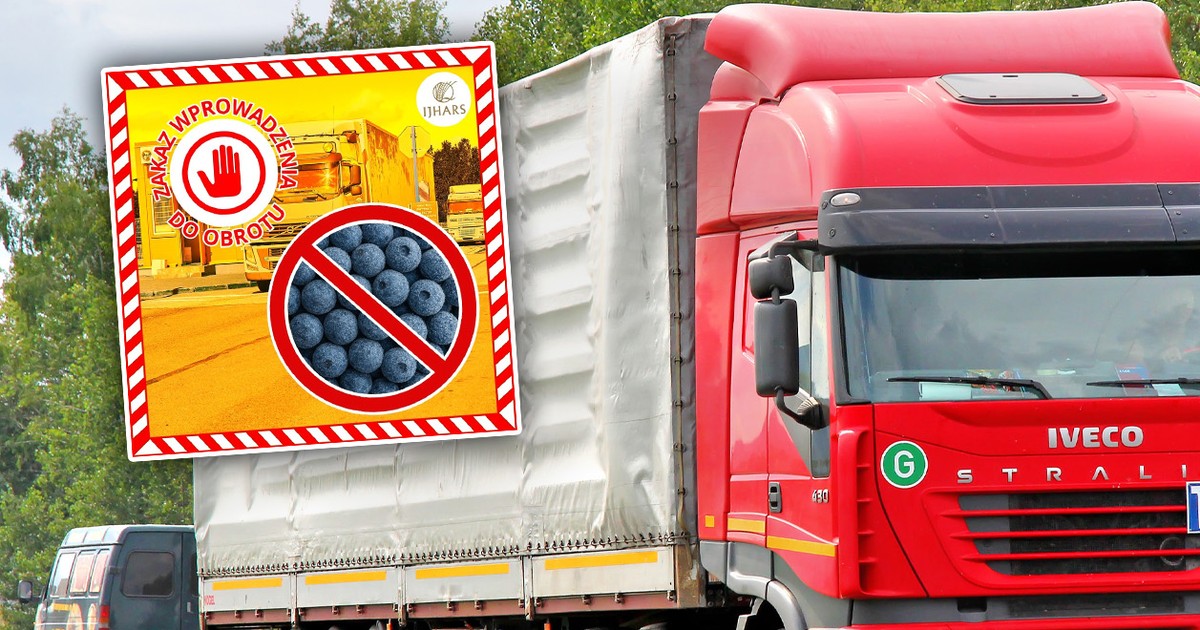 Afera z jagodami. Wykryli coś niepokojącego, Polacy mieli zjeść taki towar