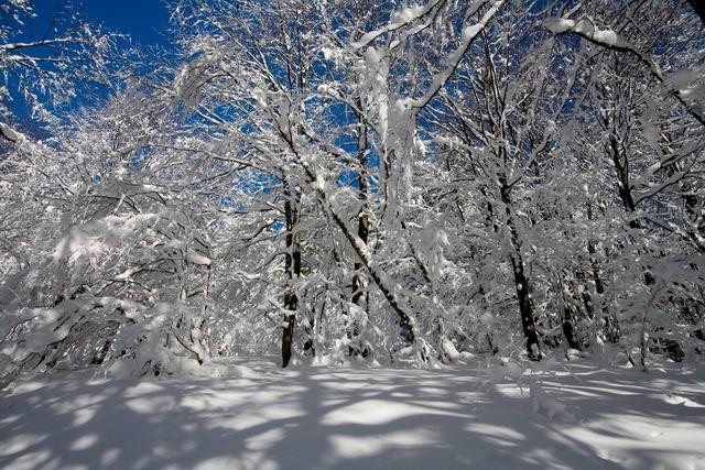 Galeria Polska - Bieszczady w zimowej szacie, obrazek 28