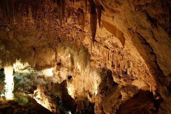 Galeria USA - Carlsbad Caverns, obrazek 27