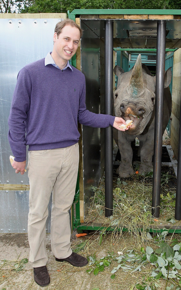 Książę William karmi nosorożca!