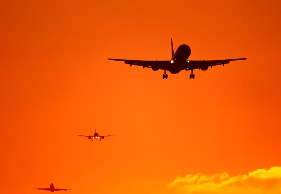 Latanie tak szkodliwe, jak masowa produkcja mięsa. Szwedzi mówią o "flygskam", czyli wstydzie z powodu podróżowania samolotem