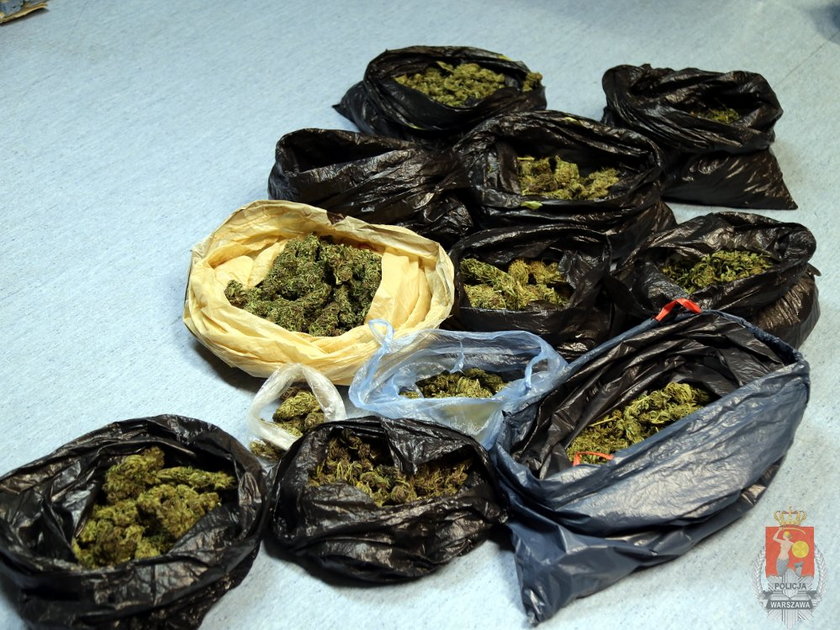 Policjanci przejęli ponad trzy kilogramy marihuany