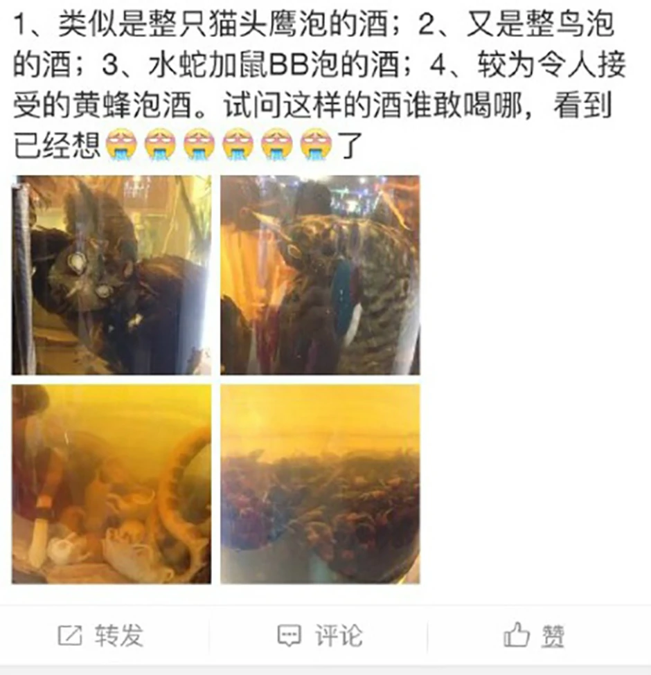 Kineski lek protiv bolova u zglobovima