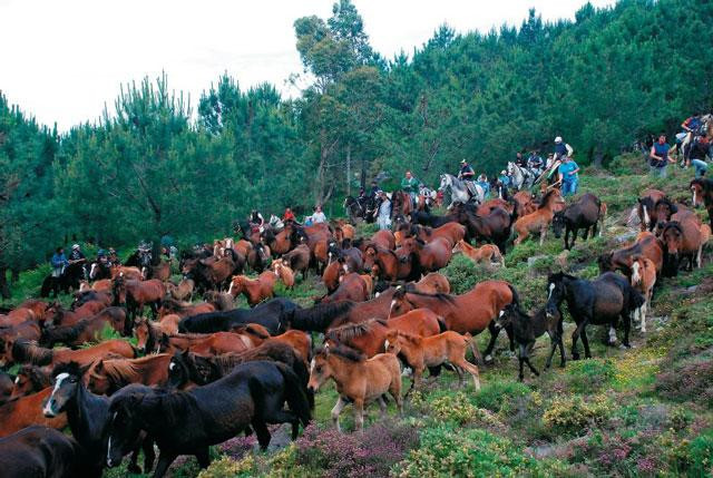 Galeria Hiszpania - Galicja, obrazek 10