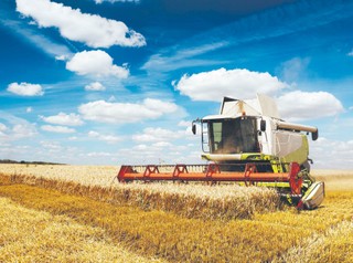 Wzrost zadłużenia dla sektora rolno-spożywczego. Jakość żywności może się zmniejszyć