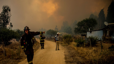 Pożary lasów szaleją w Chile