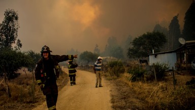 Pożary lasów szaleją w Chile