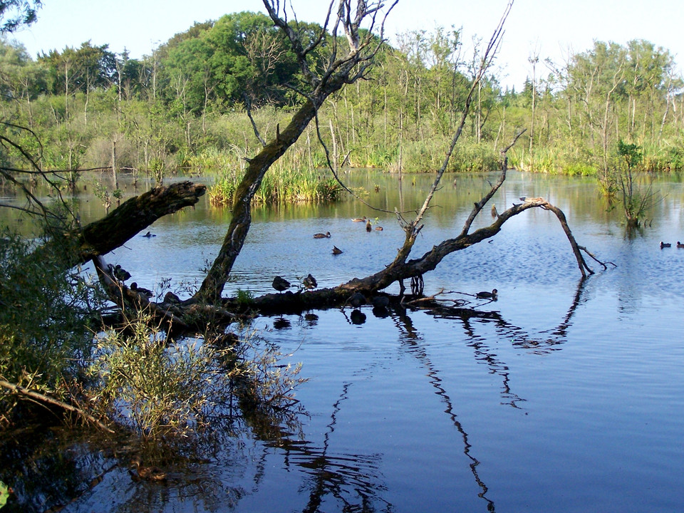 Solne Bagno