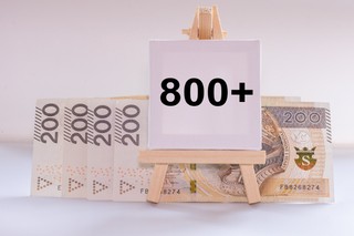 800 plus w 2026. Kiedy złożyć wniosek na nowy okres rozliczeniowy?
