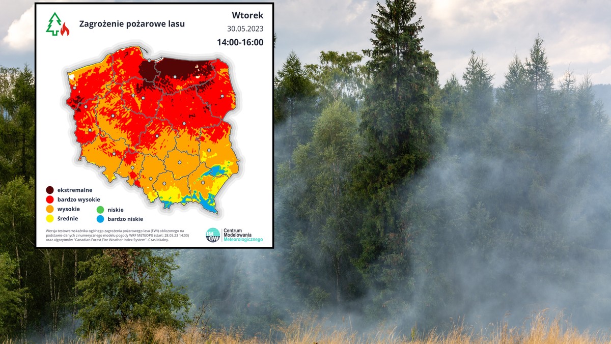Dramatyczny wzrost zagrożenia pożarowego w lasach. To dopiero początek