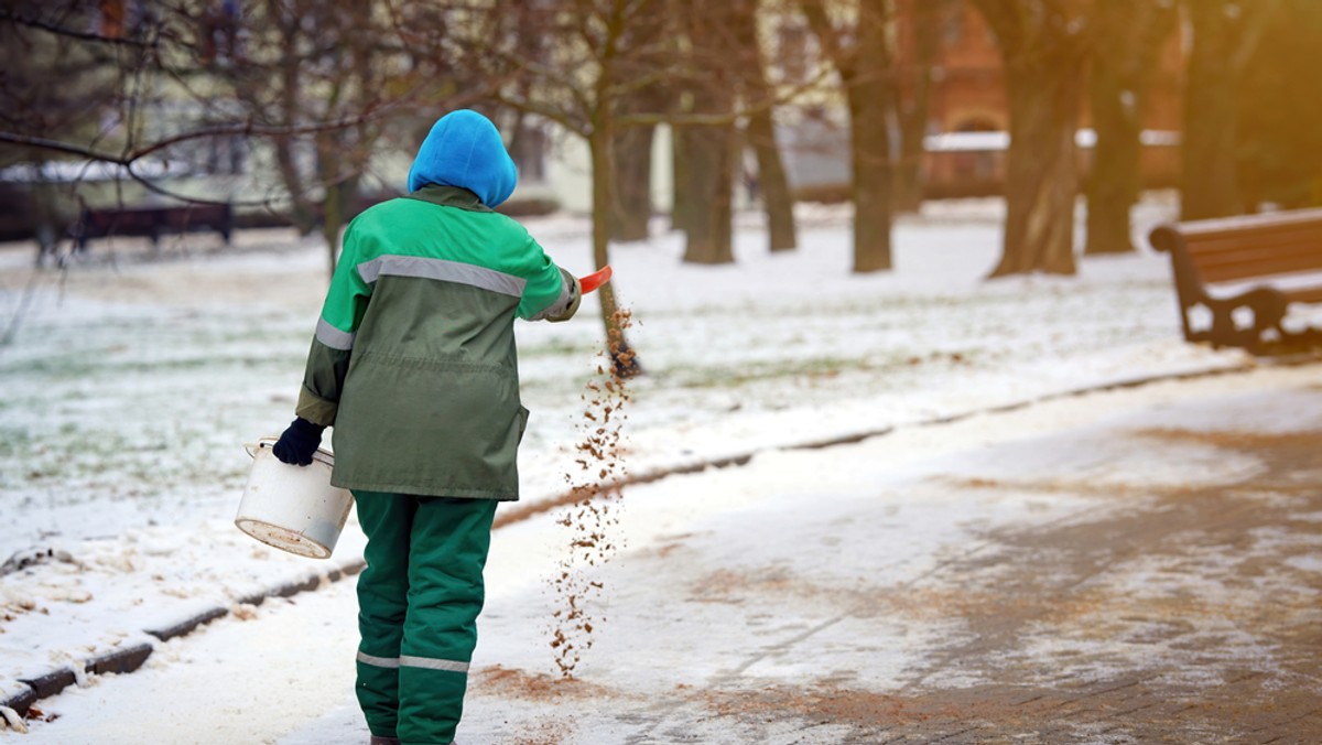 Warszawa: Fusy z kawy zamiast piasku i soli. Nowy sposób na walkę z zimą