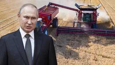 Czy światu grozi głód przez Putina?