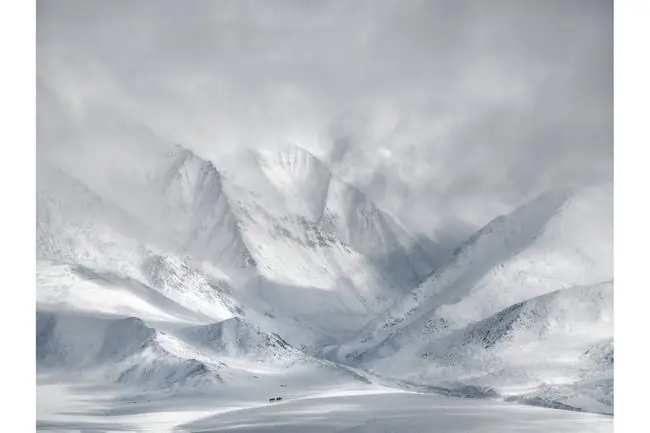 Ricardo da Cunha (The Wildlife in Landscape)/International Landscape Photographer of the Year Awards 2019