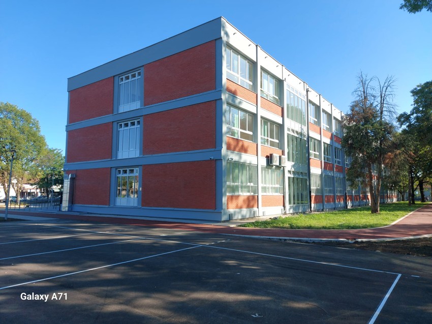 "Svetislav Golubović Mitraljeta"