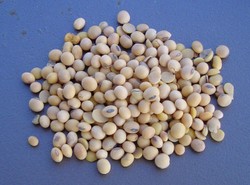 Popraw dietę, a poprawisz się w łóżku