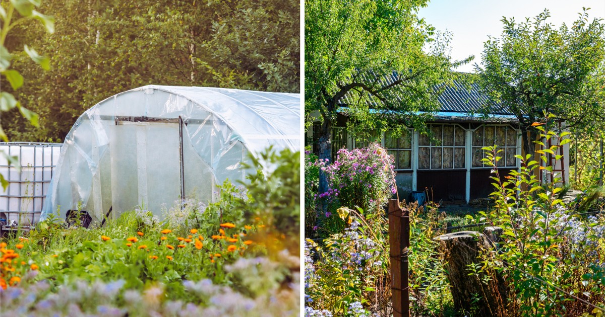 Zjedz do obiadu, a potem dorzuć do kompostownika. Zadziała jak czarodziejska różdżka!