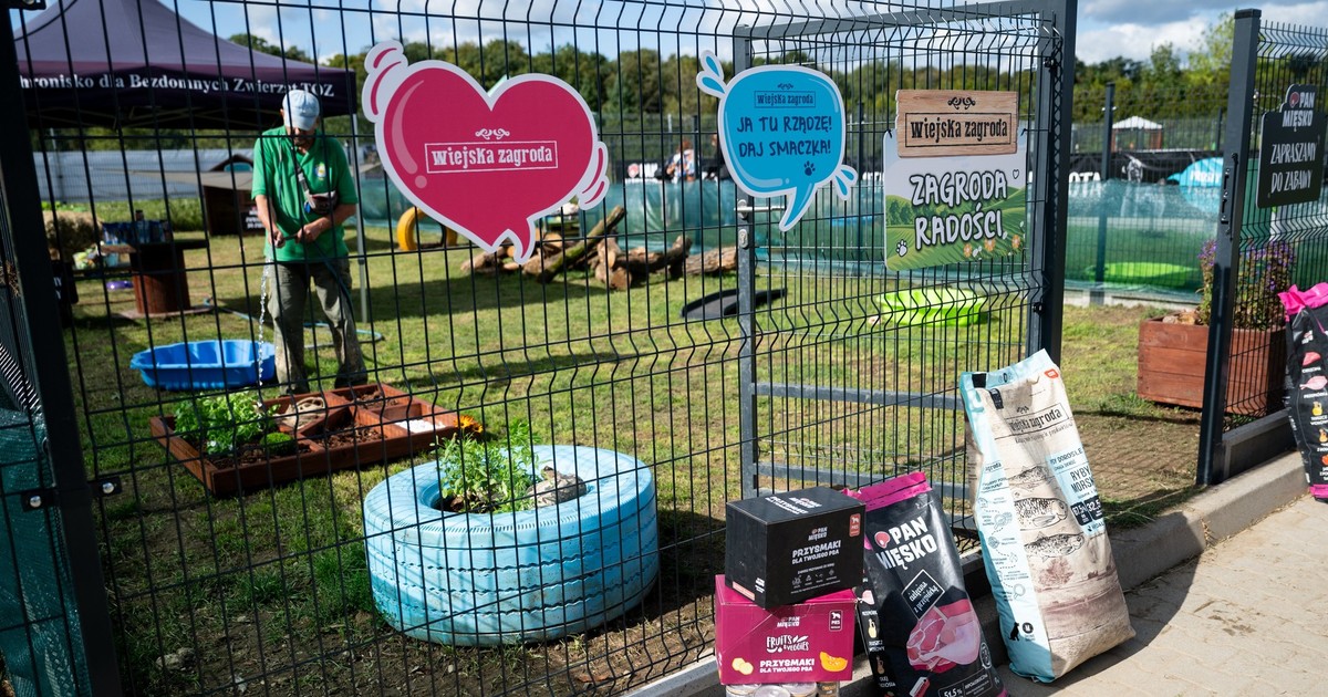 Psy zyskały nowe wybiegi w schronisku