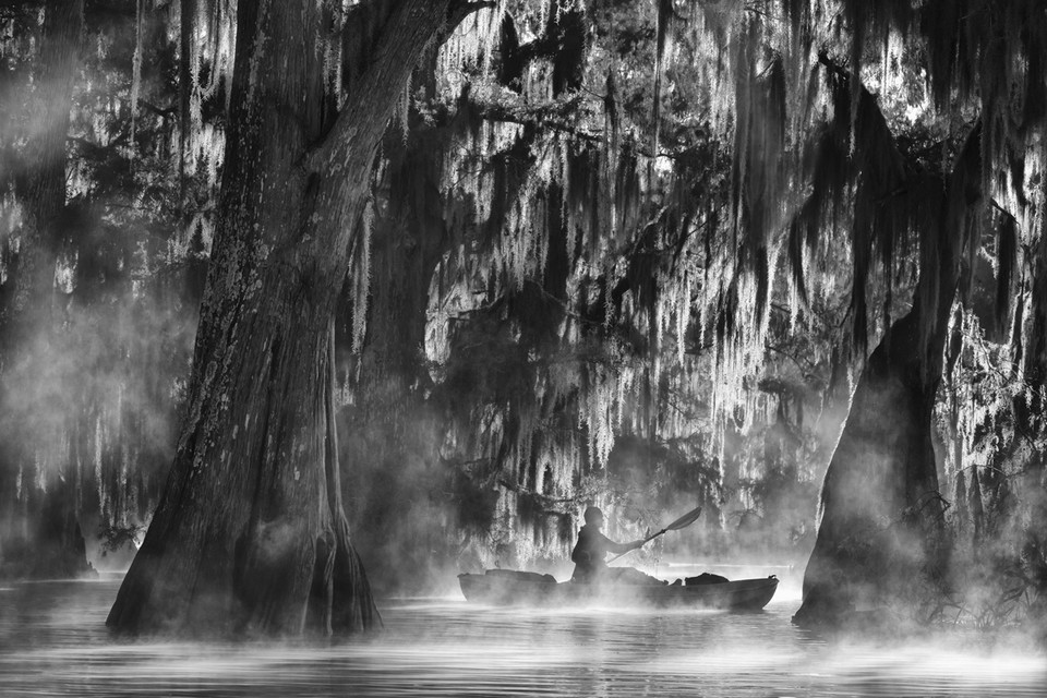 Główna nagroda Travel Photographer of the Year 2015 - Marsel van Oosten (Holandia) - Kajakiem przez Atchafalaya Basin, Luizjana, USA