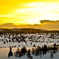 Norwegia - kraj wiecznej zimy i ludzi lodu