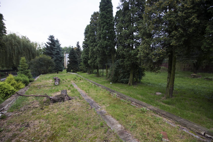 Chorzów, inwestycje w zoo