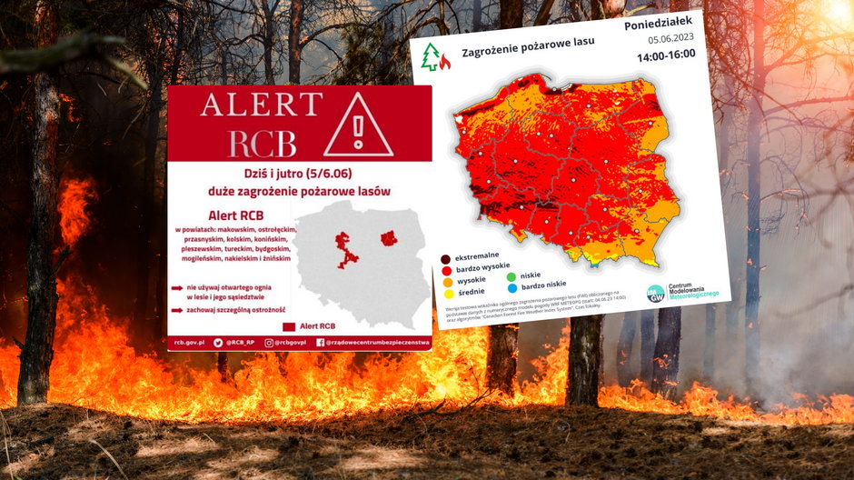 W niektórych miejscach zagrożenie jest ekstremalnie wysokie