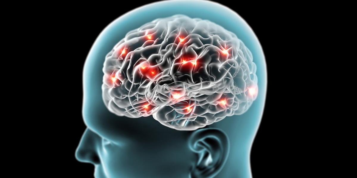 Choroba Alzheimera Naukowcy Znaleźli Metodę Leczenia Wiadomości 8574
