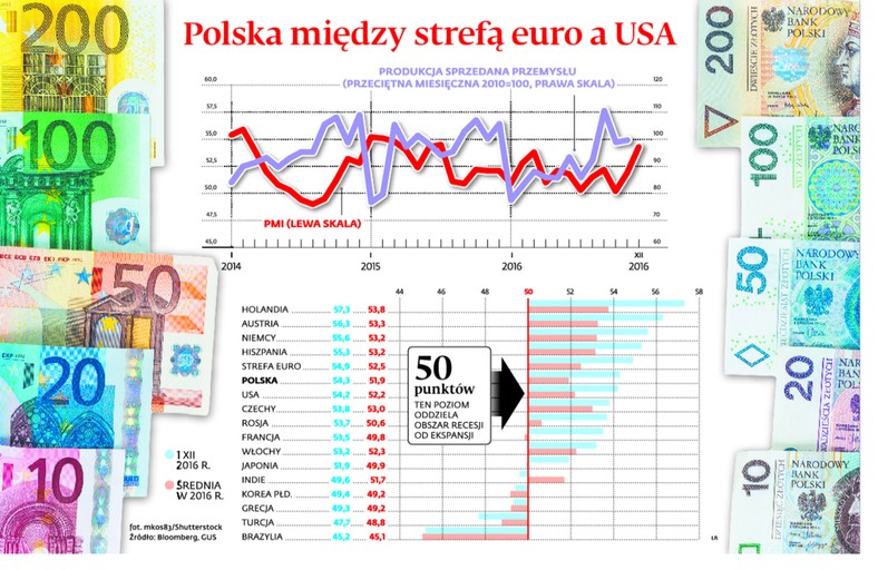 Polska między strefa euro a USA