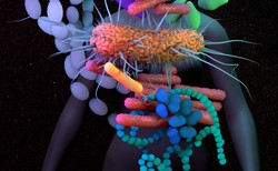 Koronawirus uszkadza zdrowy mikrobiom jelitowy. Czym to grozi?