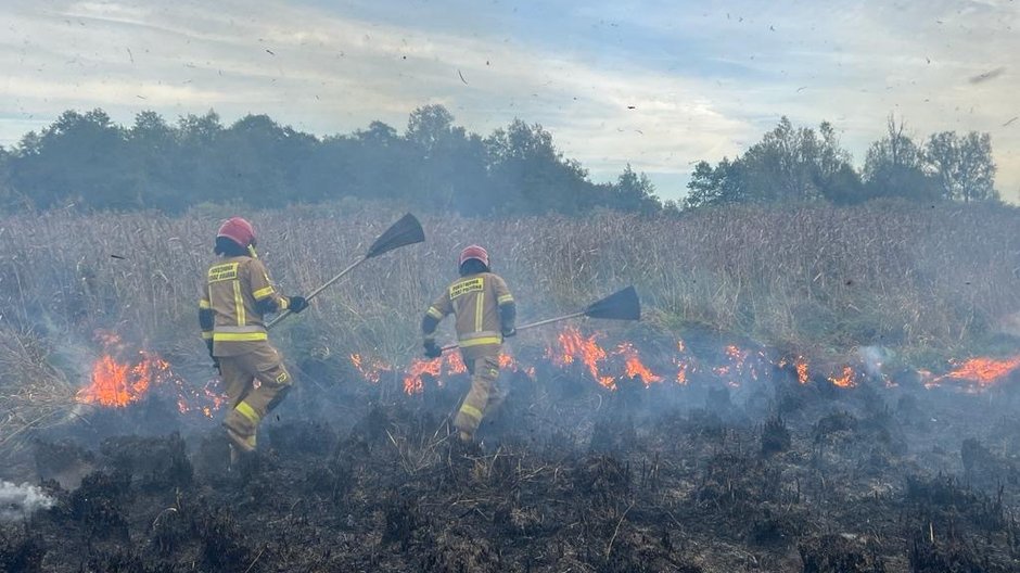 Pożar w Biebrzańskim Parku Narodowym