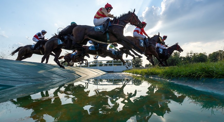 Crystal Cup to najdłuższa gonitwa przeszkodowa w sezonie (5 500 metrów).