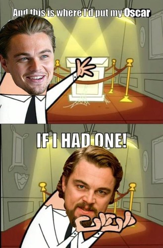 Leonardo DiCaprio - mem