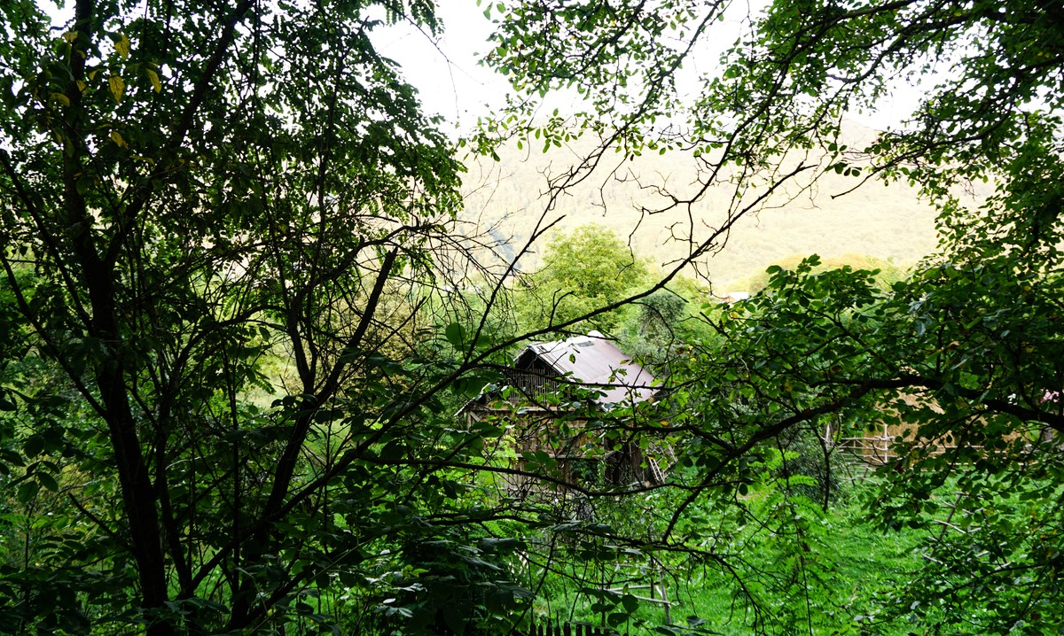 Wynajmował rodzinie z dzieckiem "budę" w ogrodzie w Londynie. Nieuczciwy właściciel srogo ukarany