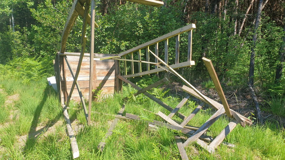 Jedna ze zniszczonych ambon w Lesie Piątkowskim