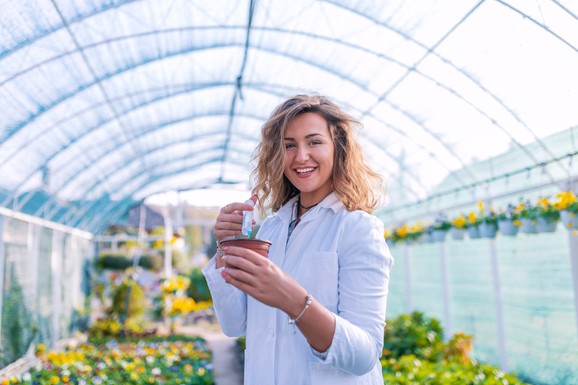 Izazovi proizvodnje cveća u plasteniku: Ovo je 6 ključnih stvari o kojima morate voditi računa