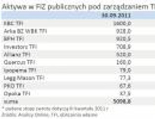 Rynek publicznych FIZ w górę o 12 proc.