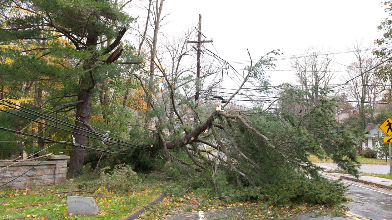 V dôsledku silného vetra na juhu krajiny zomreli dvaja ľudia. (ilustračné foto)