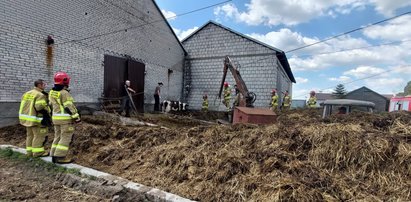 Weszli do obory i osłupieli. A to nie był koniec zaskoczeń