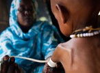 4.4m children in Northeast, Northwest Nigeria malnourished due to food shortages