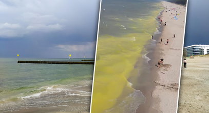 Woda w Bałtyku zmieniła kolor. Czy w żółtej wodzie można się kąpać?