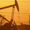Rekordowe zapasy ropy w USA wciąż rosną