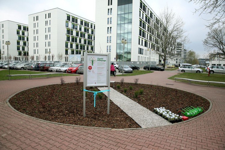 'Ogród Pompego' otwarto na terenie Warszawskiego Uniwersytetu Medycznego